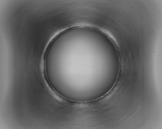 X0000110681040200906121202