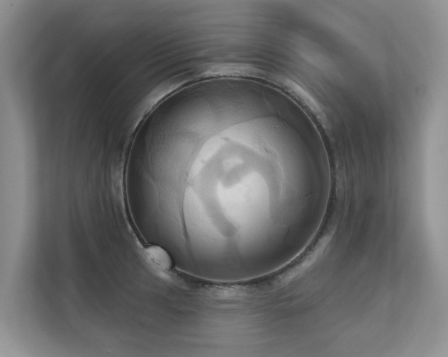 X0000110681041200906121202