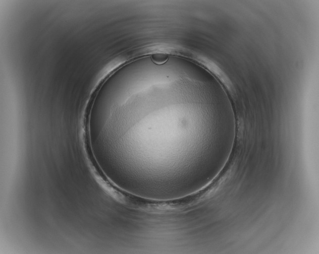 X0000110681042200906121202