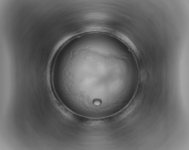 X0000110681043200906121202
