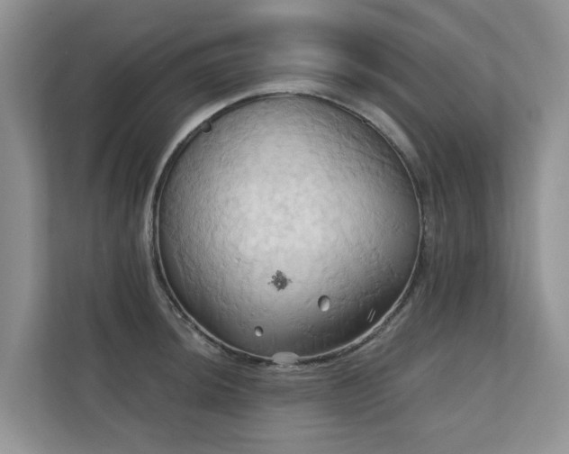 X0000110681044200906121202