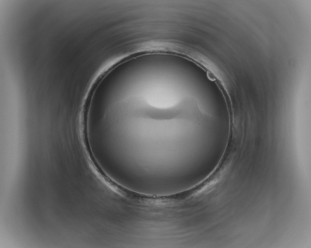 X0000110681045200906121202