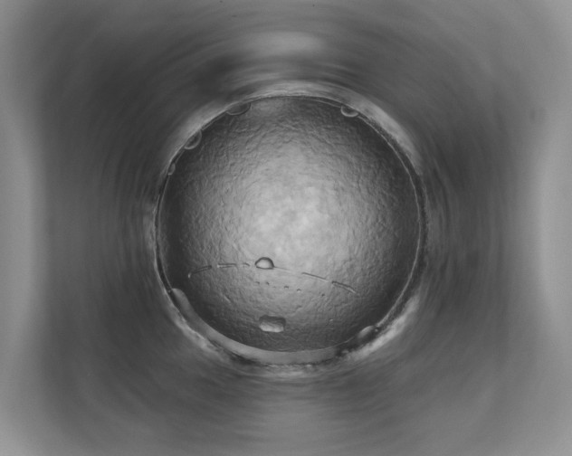 X0000110681049200906121202