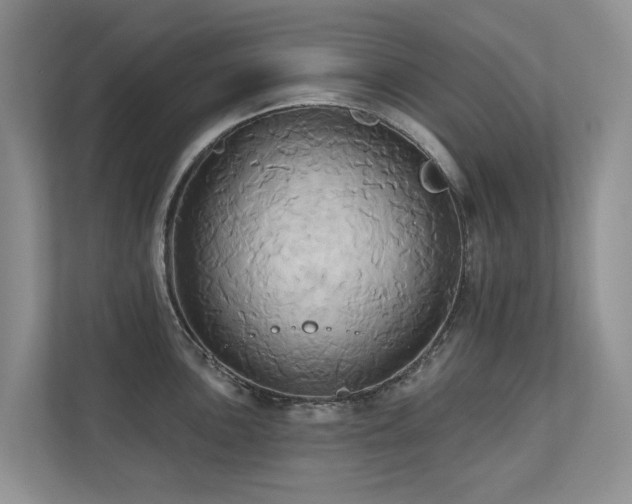 X0000110681051200906121202