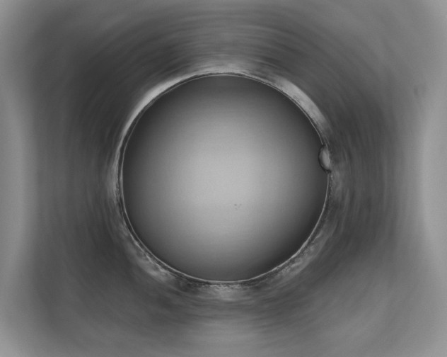 X0000110681052200906121202