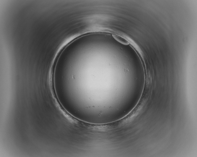 X0000110681053200906121202