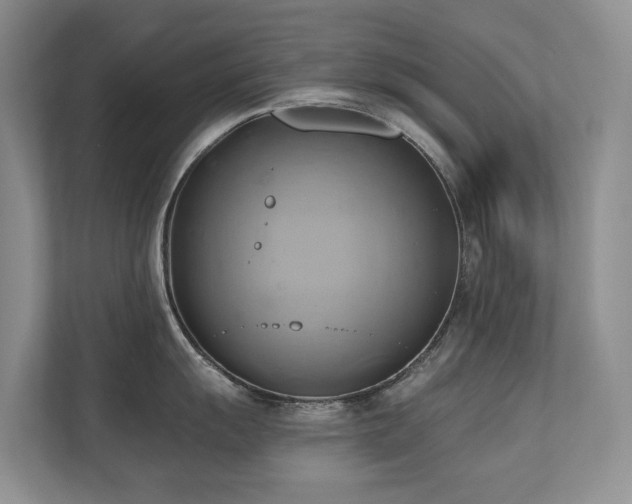 X0000110681055200906121202