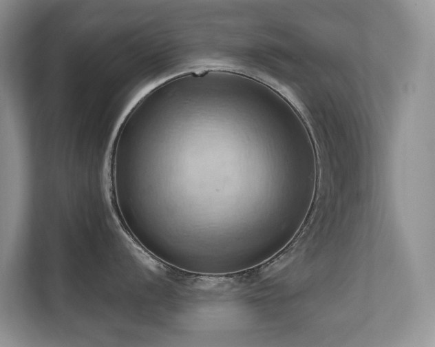 X0000110681056200906121202