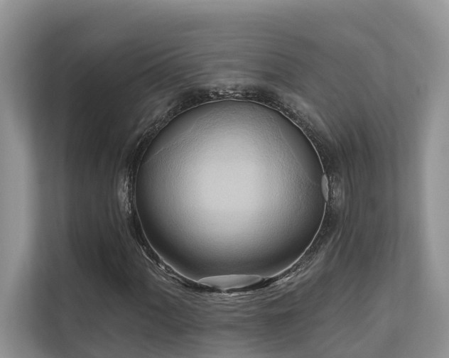 X0000110681060200906121201