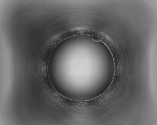 X0000110681062200906121201