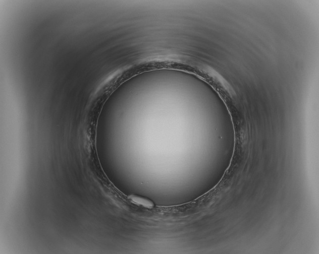 X0000110681064200906121201