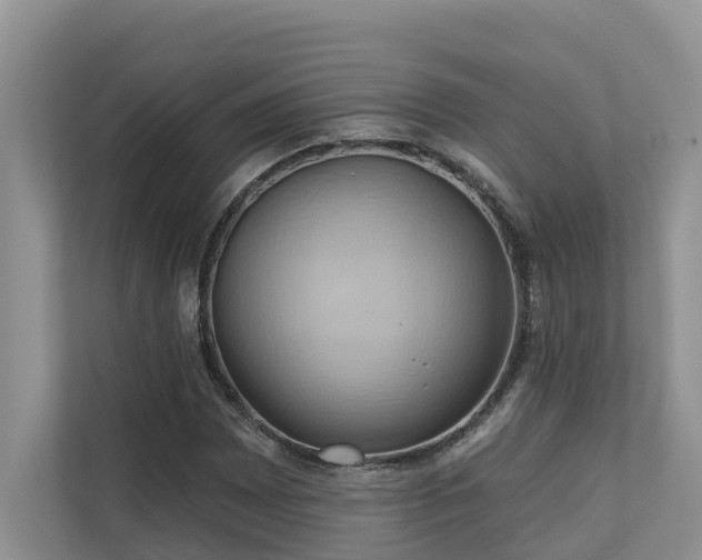 X0000110681065200906121201