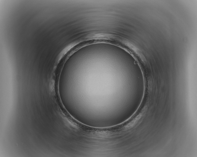 X0000110681066200906121201