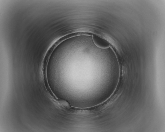 X0000110681068200906121201