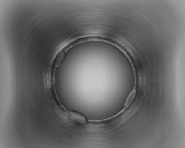 X0000110681069200906121201