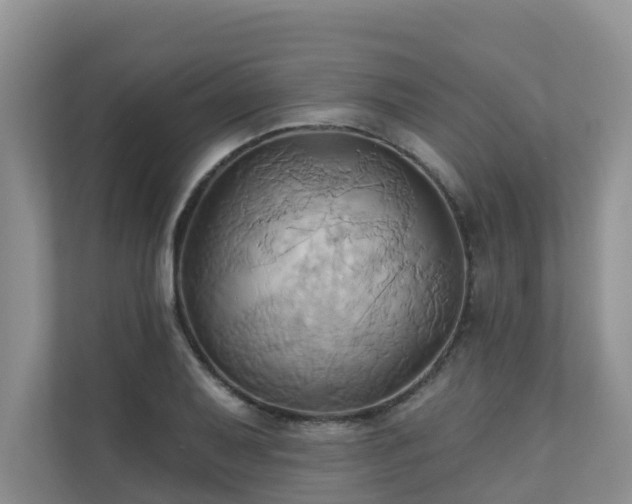 X0000110681079200906121201