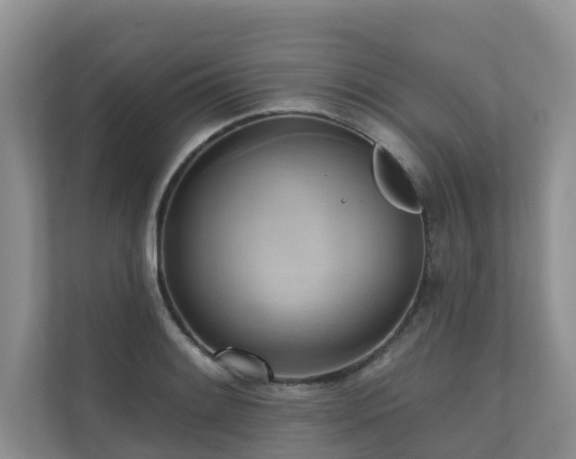 X0000110681084200906121201
