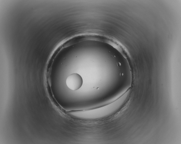 X0000110681085200906121201