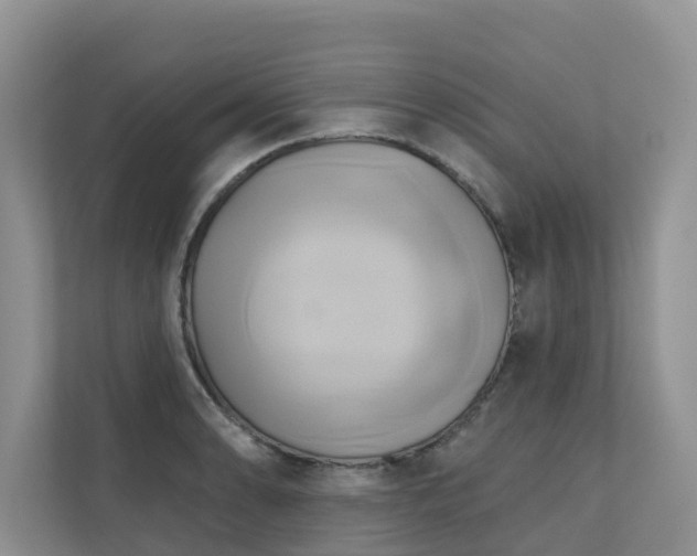 X0000110681086200906121201