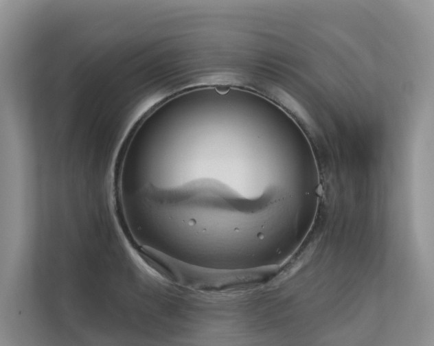 X0000110681087200906121201