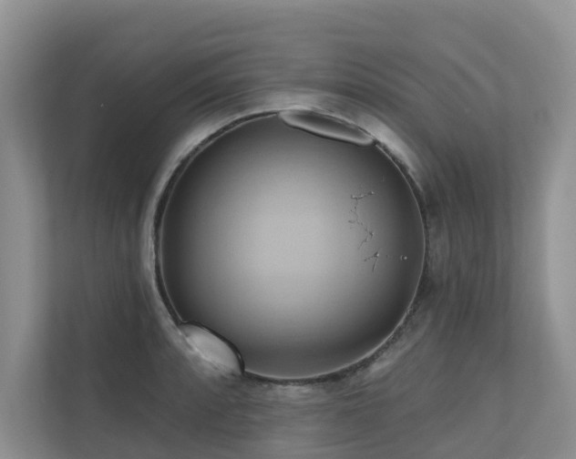 X0000110681088200906121201