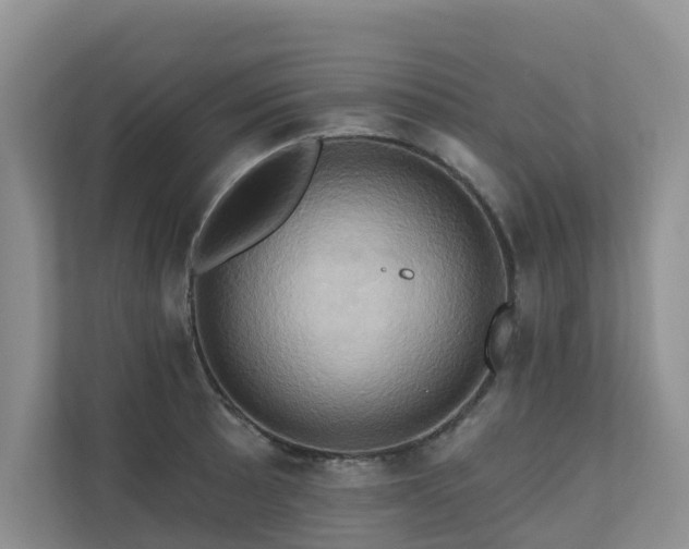 X0000110681089200906121201