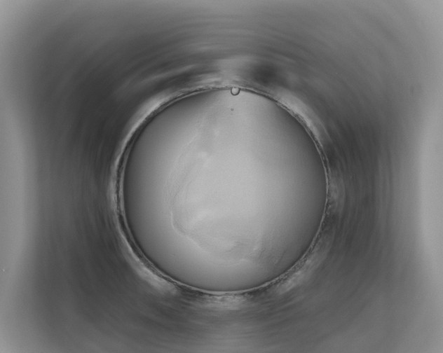 X0000110681090200906121201