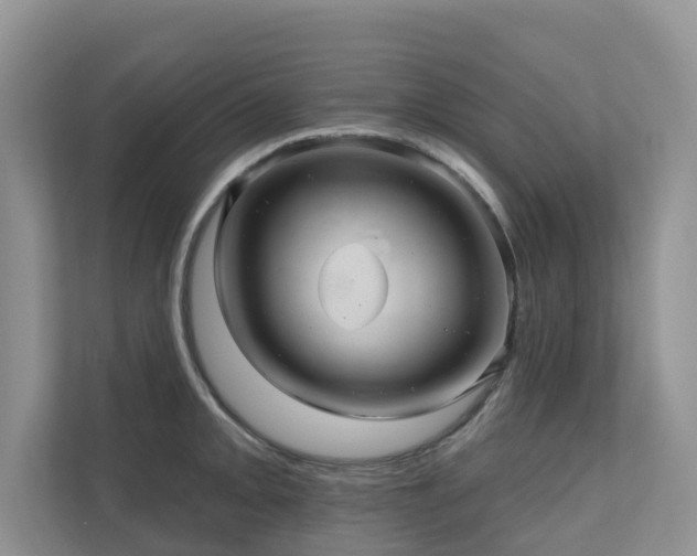 X0000110681093200906121201