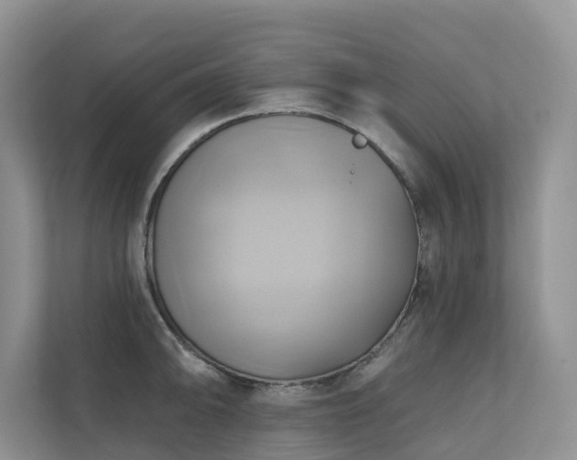 X0000110681094200906121201