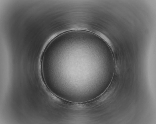 X0000110681096200906121201