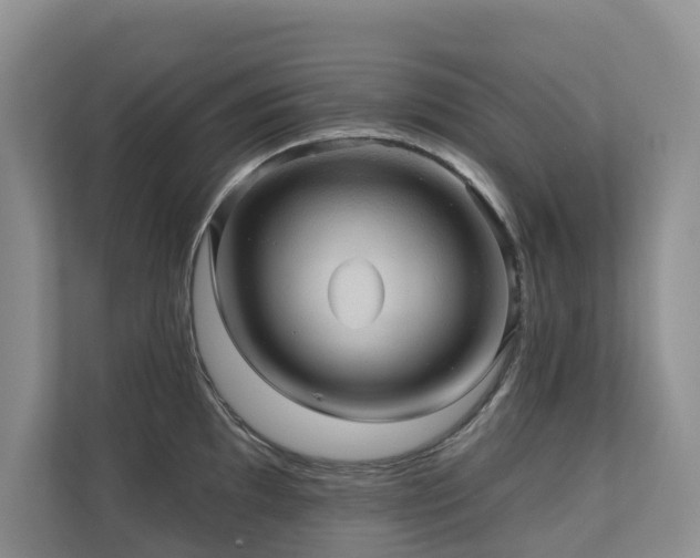 X0000110681097200906121201
