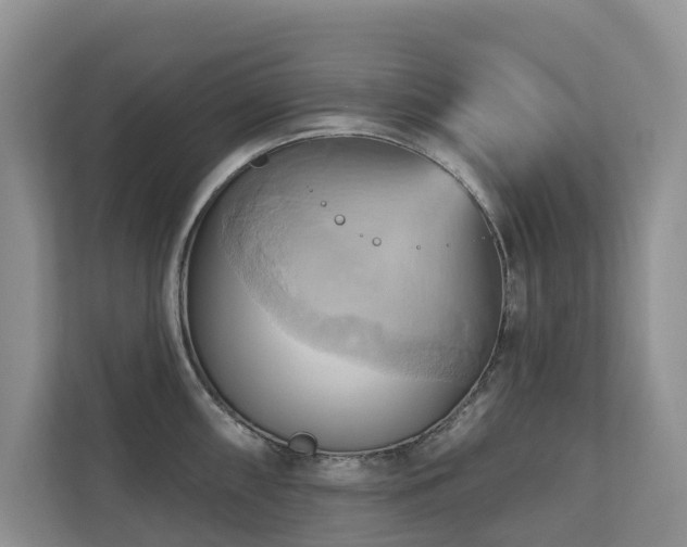 X0000110681098200906121201