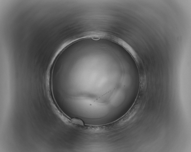 X0000110681099200906121201