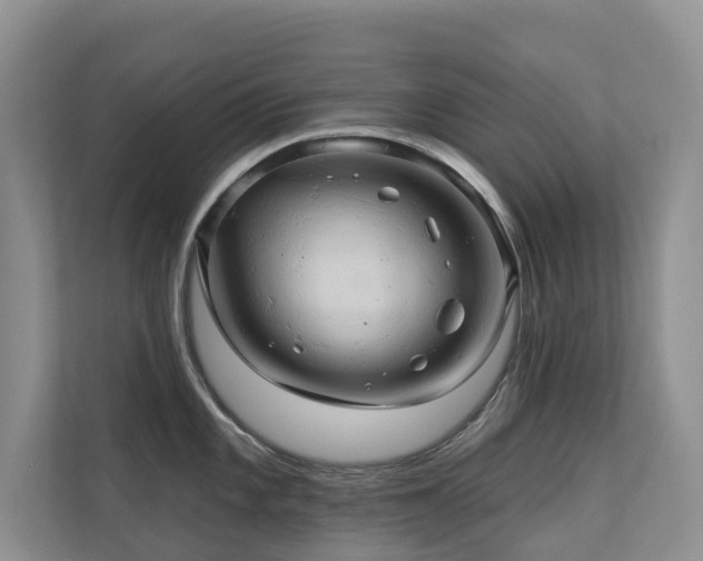 X0000110681101200906121201