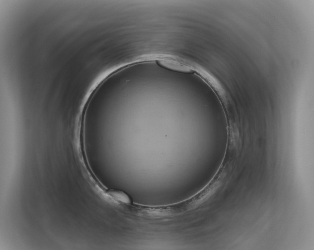 X0000110681102200906121201