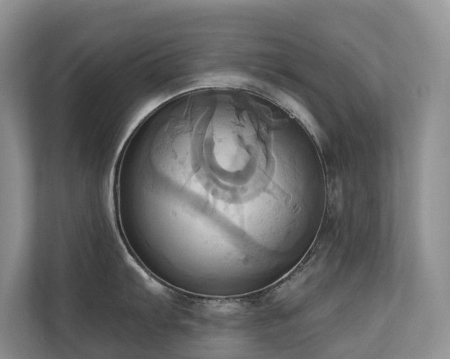 X0000110681103200906121201