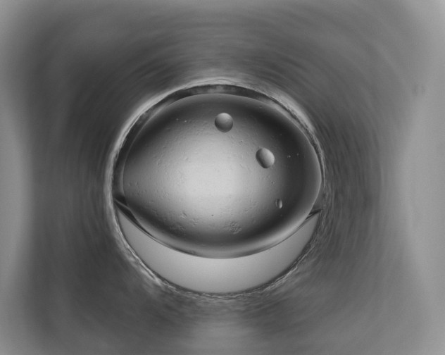 X0000110681104200906121201
