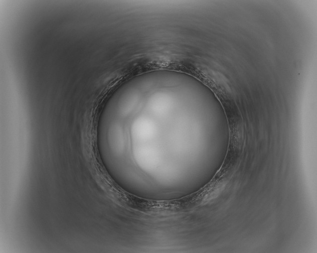 X0000110681105200906121200