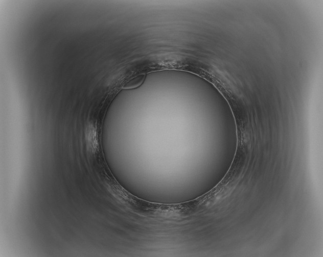 X0000110681106200906121200
