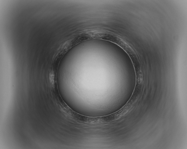 X0000110681108200906121200