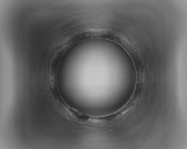 X0000110681109200906121200