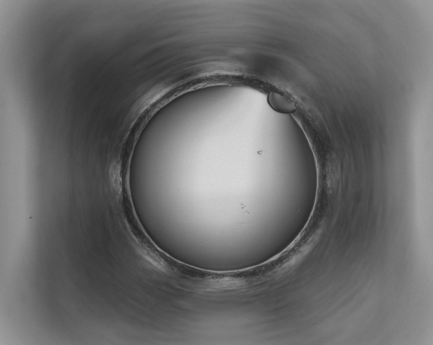 X0000110681113200906121200