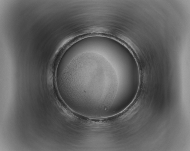 X0000110681115200906121200