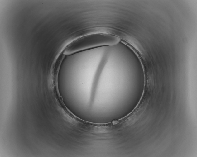 X0000110681116200906121200
