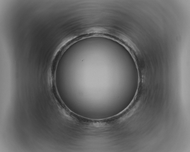 X0000110681117200906121200