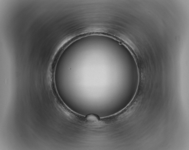 X0000110681119200906121200