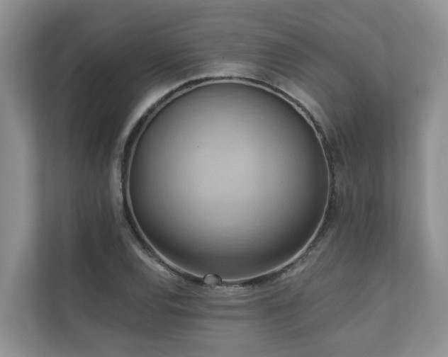 X0000110681120200906121200