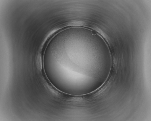 X0000110681123200906121200