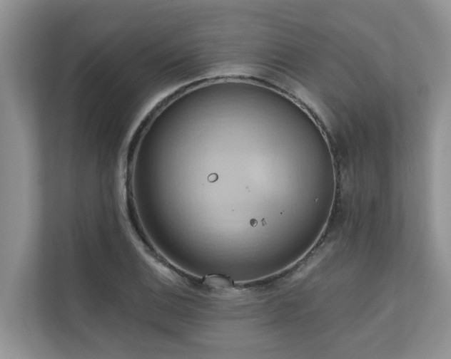 X0000110681124200906121200