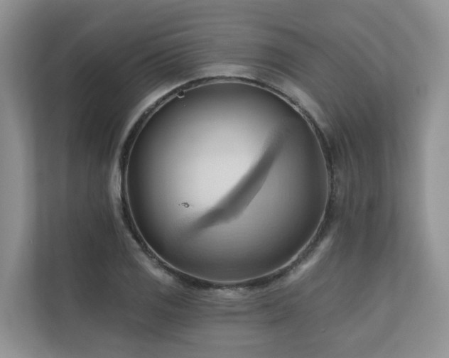 X0000110681125200906121200